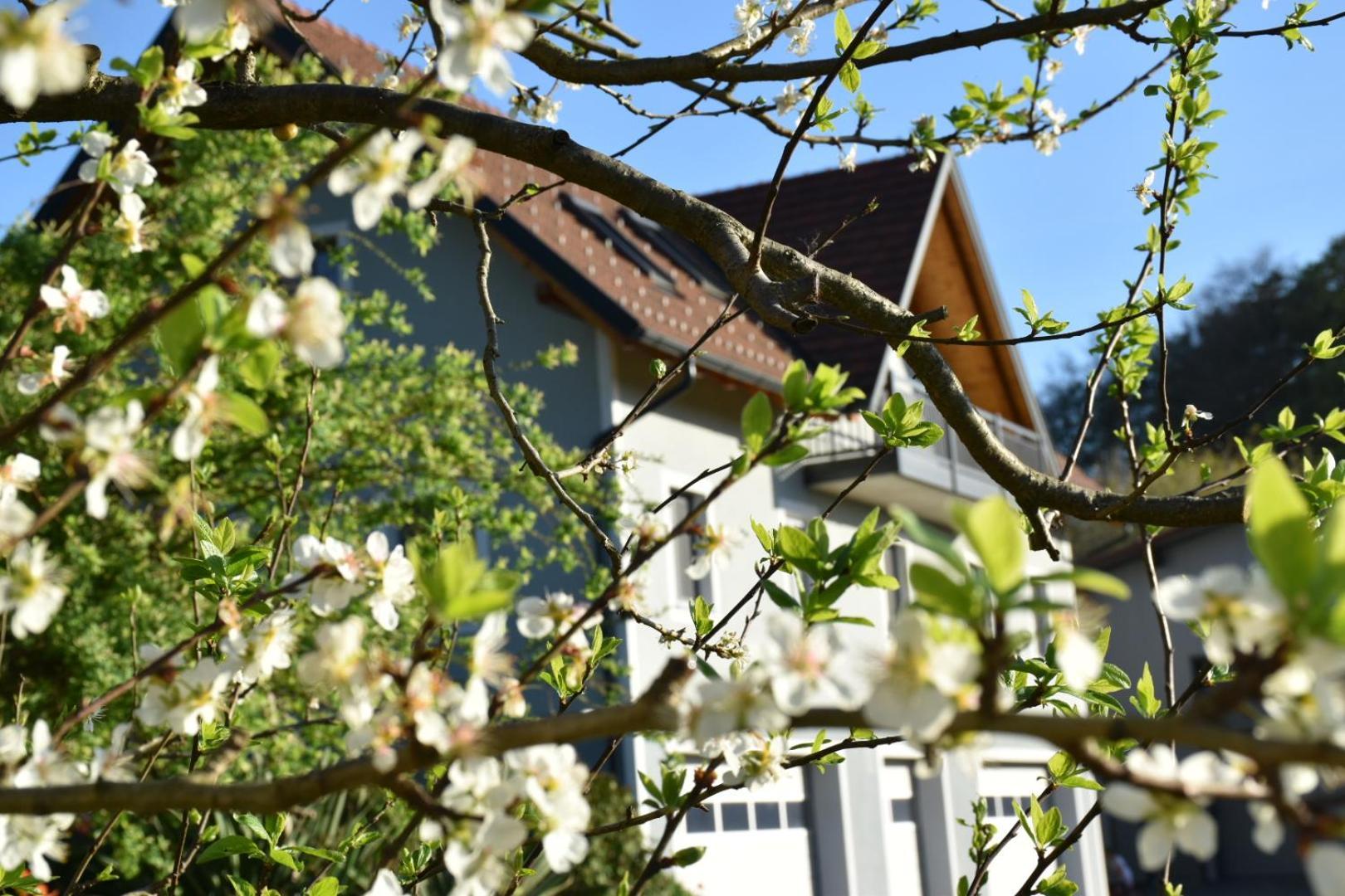 Ferienhaus Am Hof Zotter Riegersburg Exteriör bild